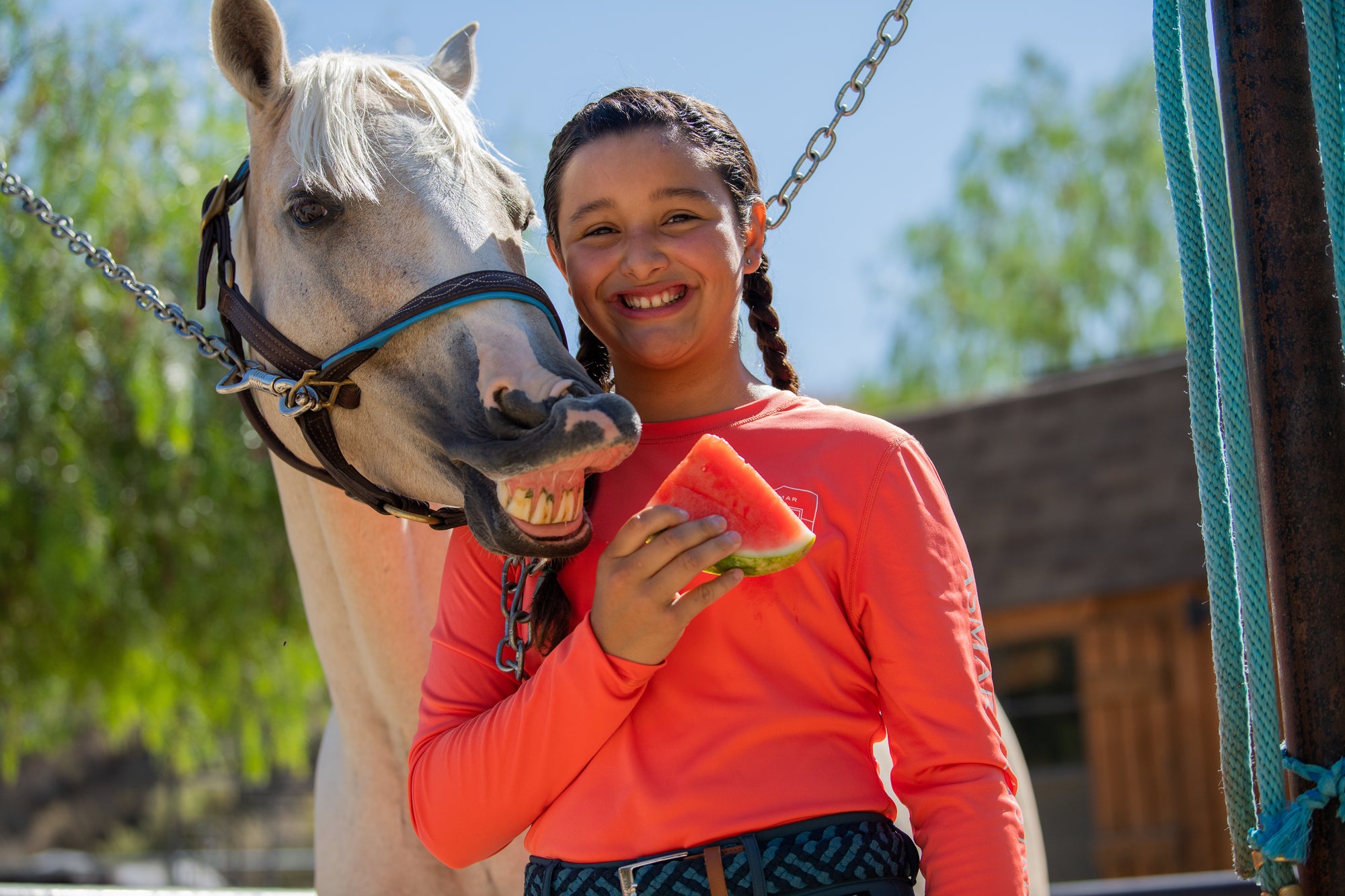 Human Foods You Should (And Shouldn't) Feed Your Horse