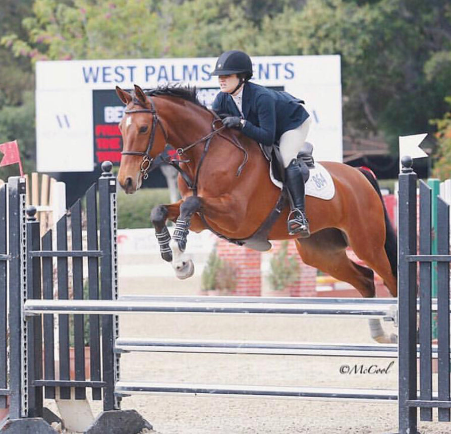 USEF  Hunter/Jumper Attire Rules Clarified