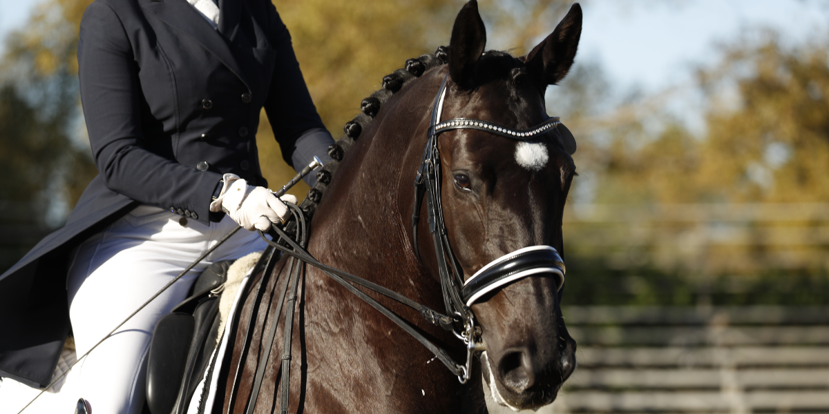 Interview with an Expert: FEI Dressage Judge