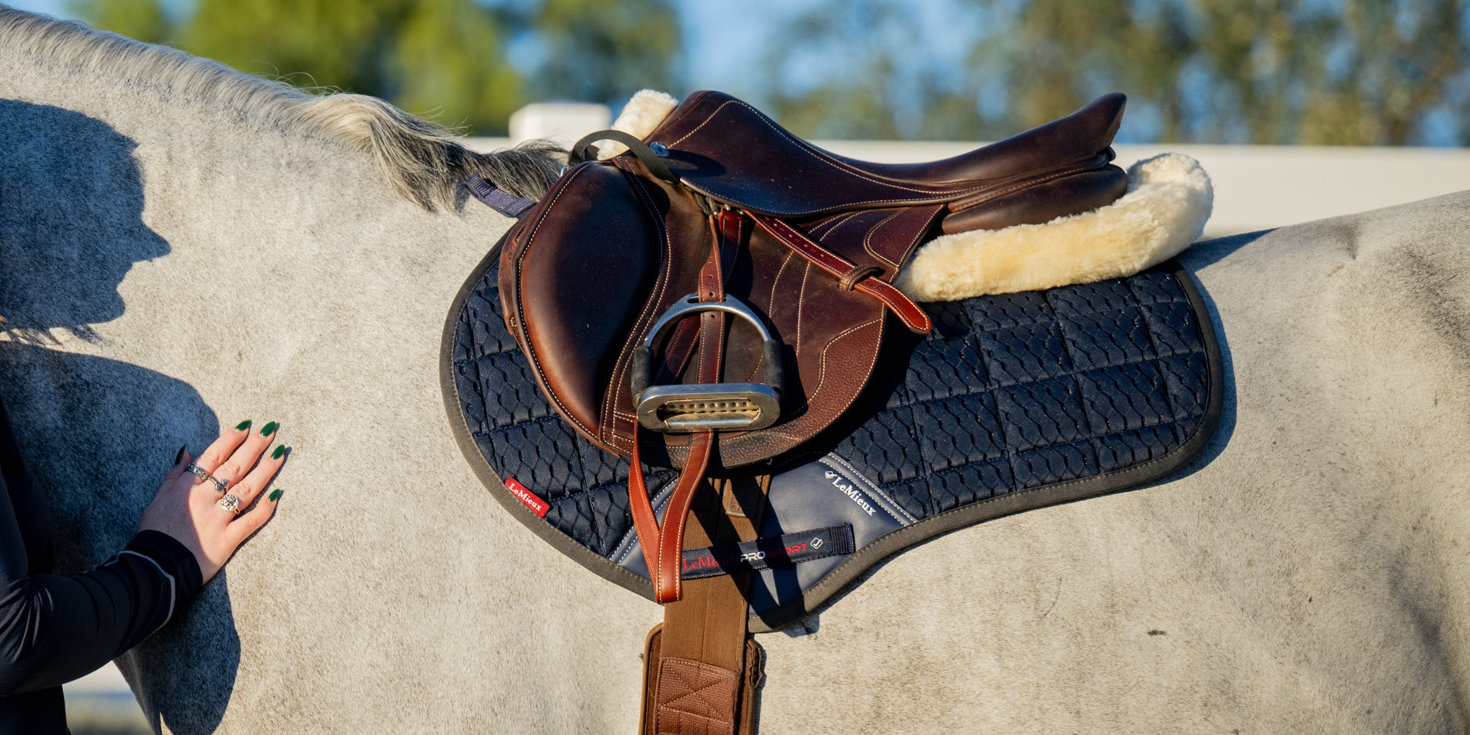 Têtière Western Nylon Cordé Marron - Horse Tack Pour Cheval - Occasion
