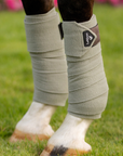 LeMieux Classic Polo Bandages in Fern - Pony