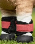 LeMieux 'Toy Pony' Mini Bandages in Cranberry