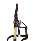 HFP Stitched Leather Halter in Brown