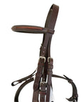 Fancy Stitched Bridle in Brown