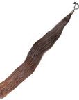 False Tail in Bay