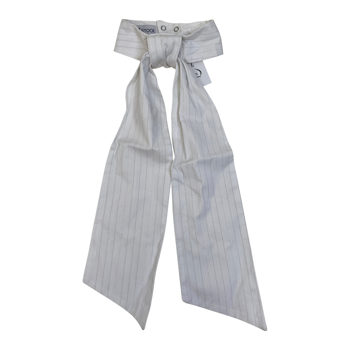 Style Stock Pre-Tied Stock Tie in White/Silver Thread