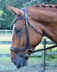 KL Select 'Arena' Weymouth Bridle in Brown - Full