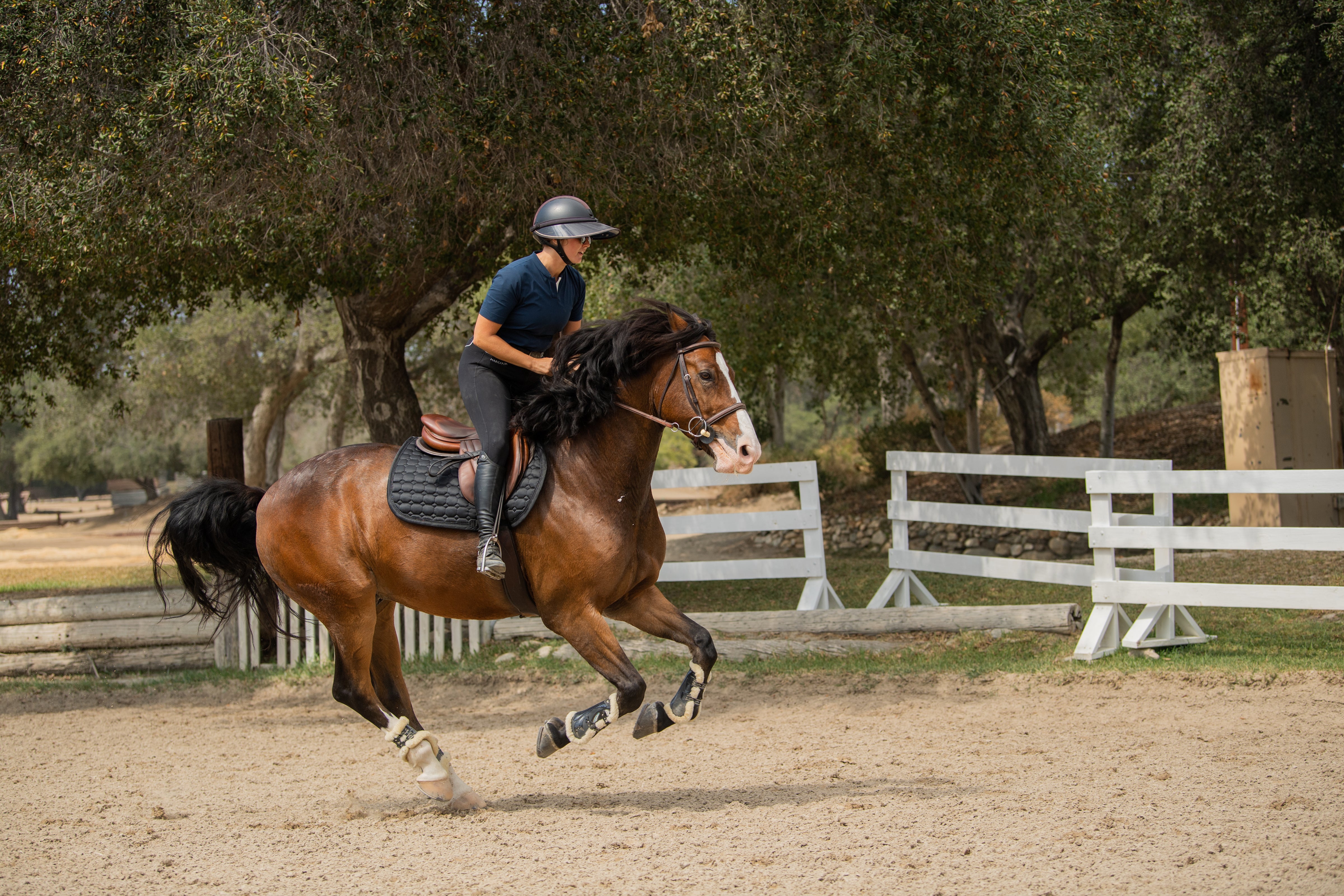 7 Ways to Maximize Consignment Profit – The Tried Equestrian