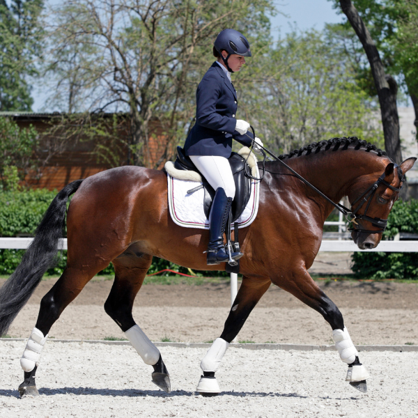 woman riding a dressage horse in an equestrian competition