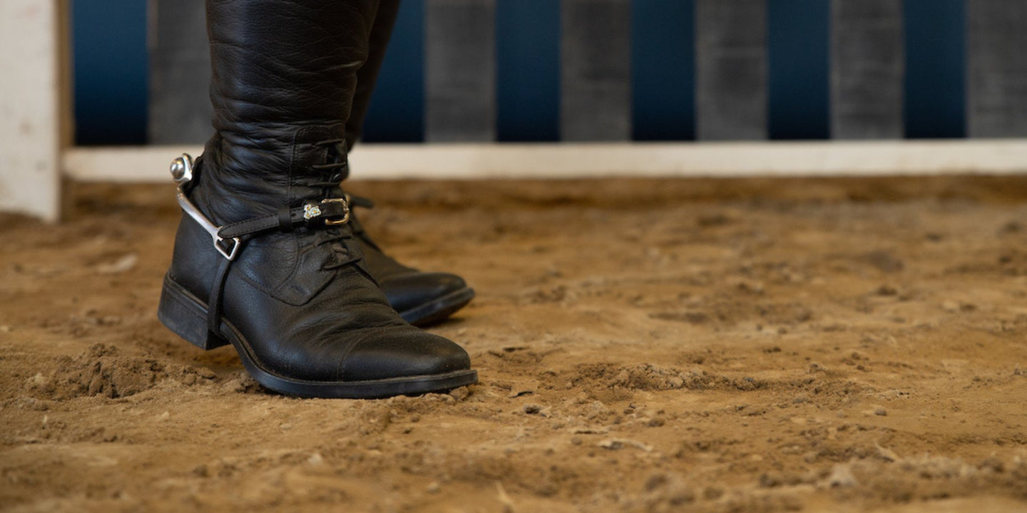 Equestrian horseback riders tall boots, Parlanti, Ariat