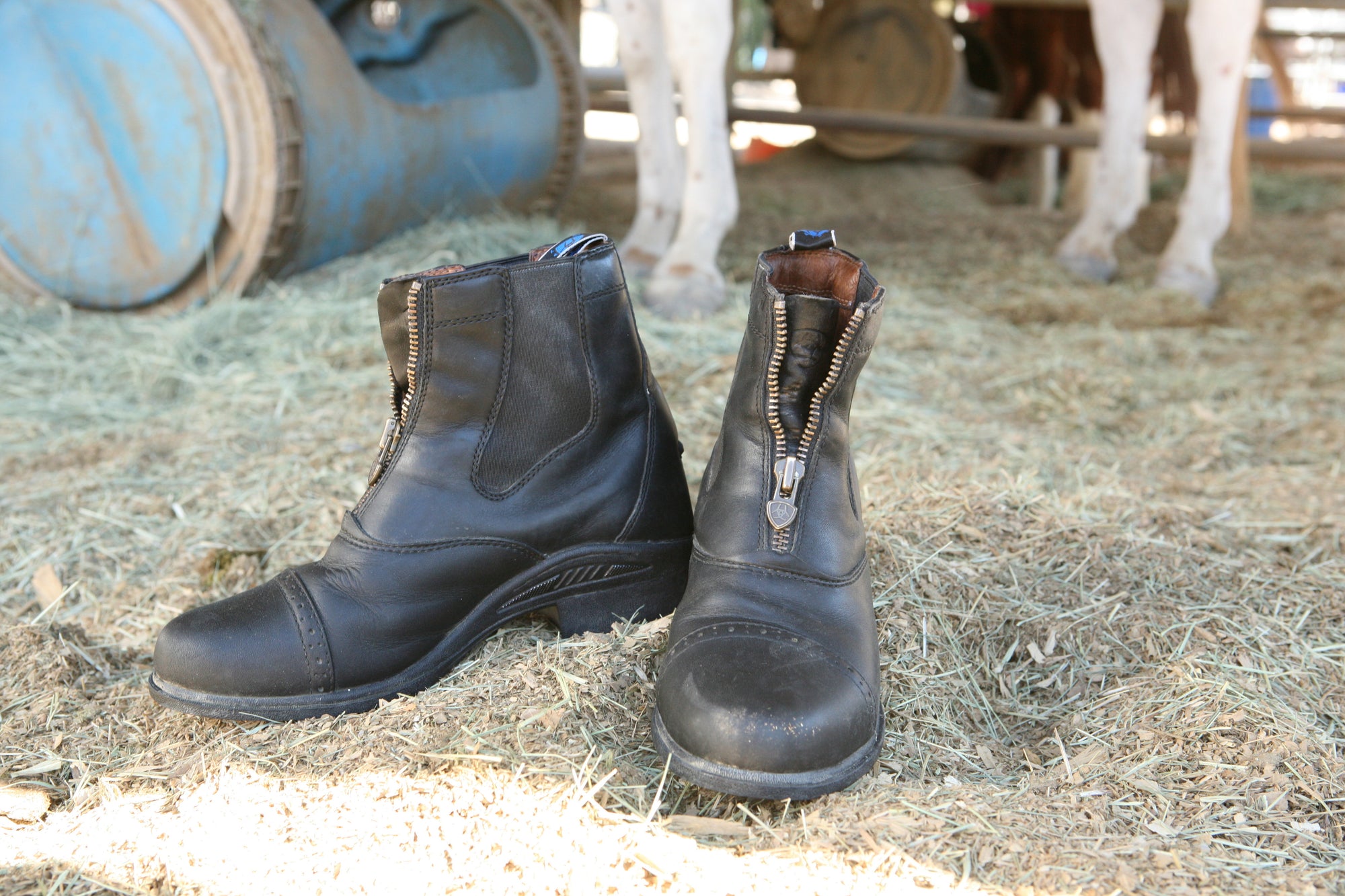 Paddock Boots