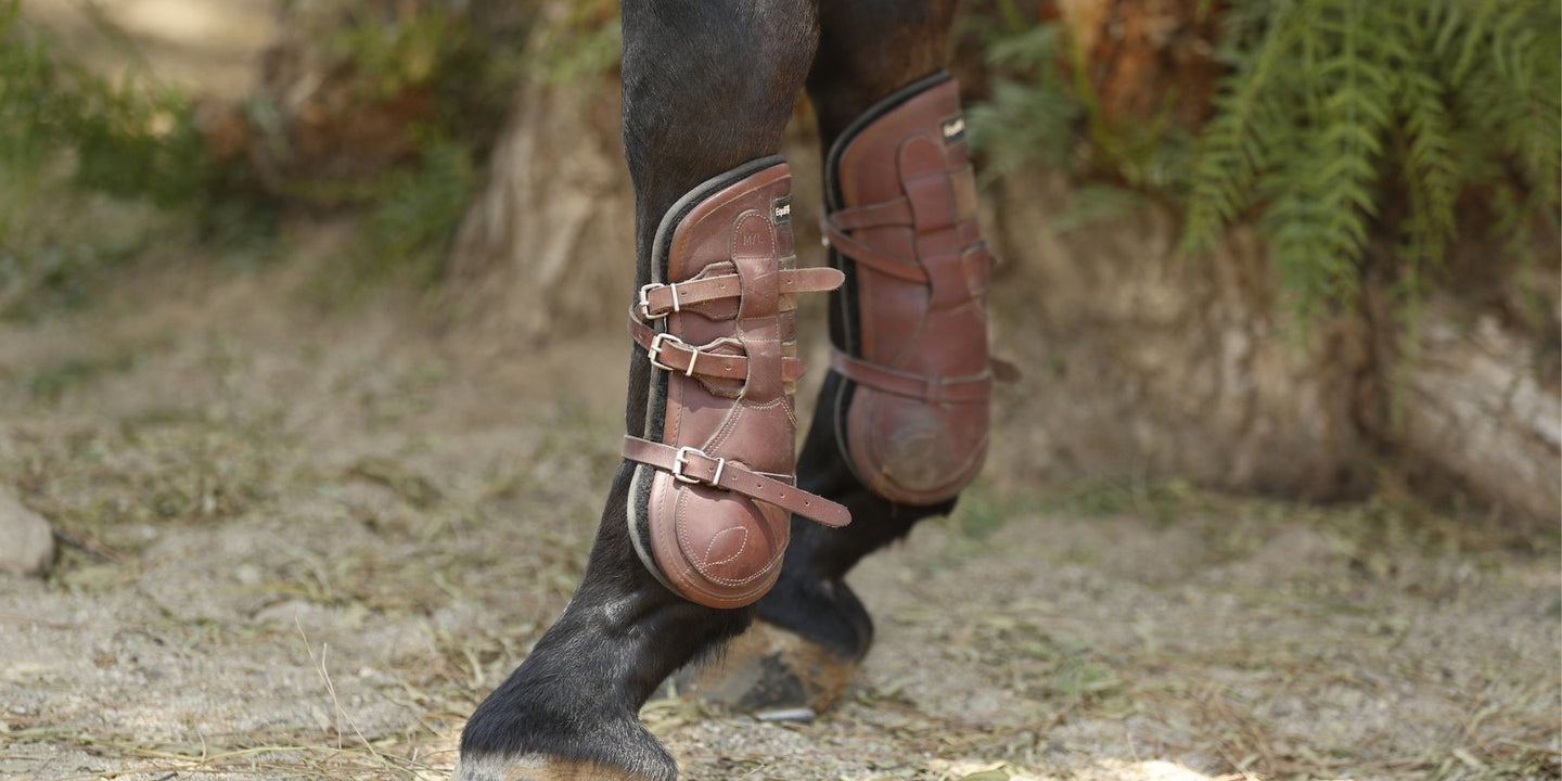 Horse Boots & Wraps