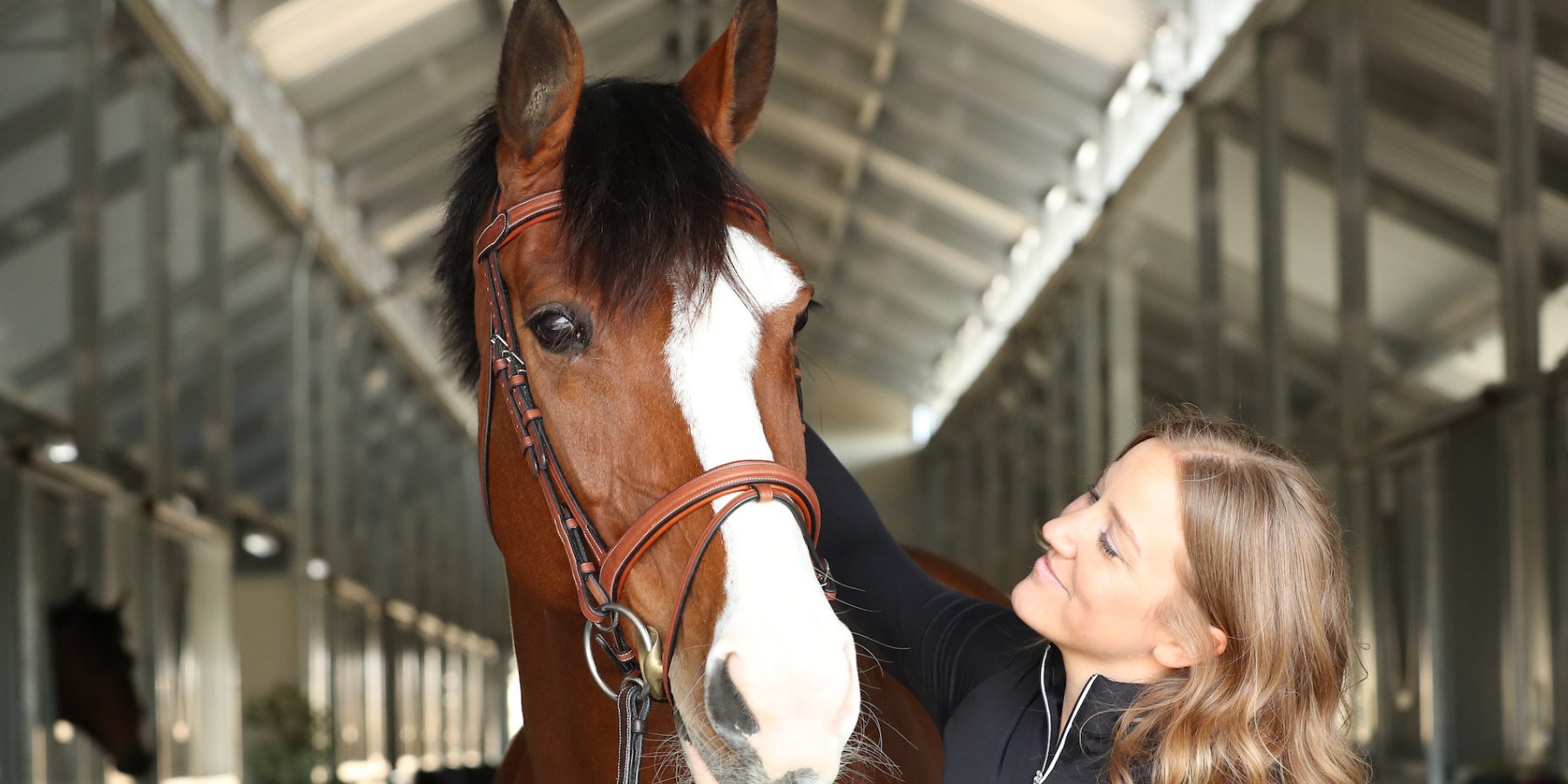 Bridles & Reins