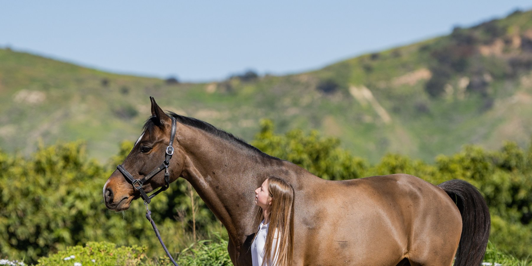Ariat morris reversible jacket sale