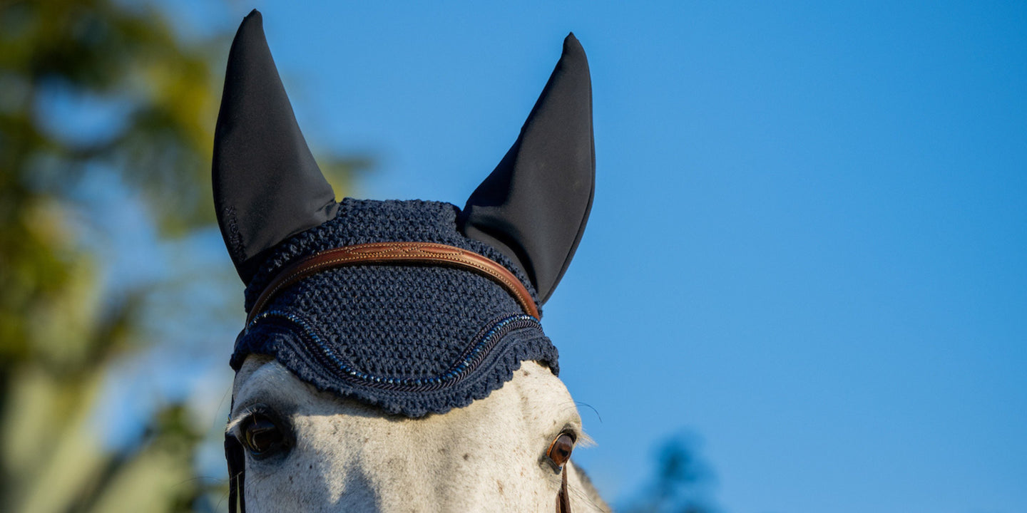 Accessories For The Horse