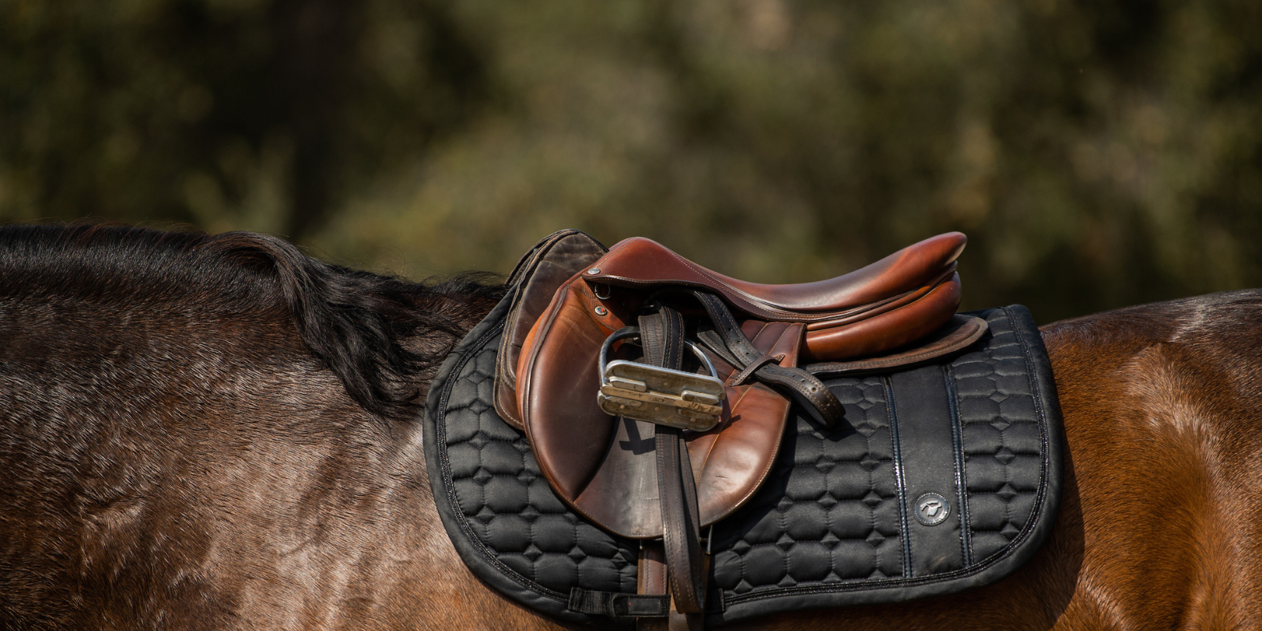 Butet saddle and saddle pad on horse