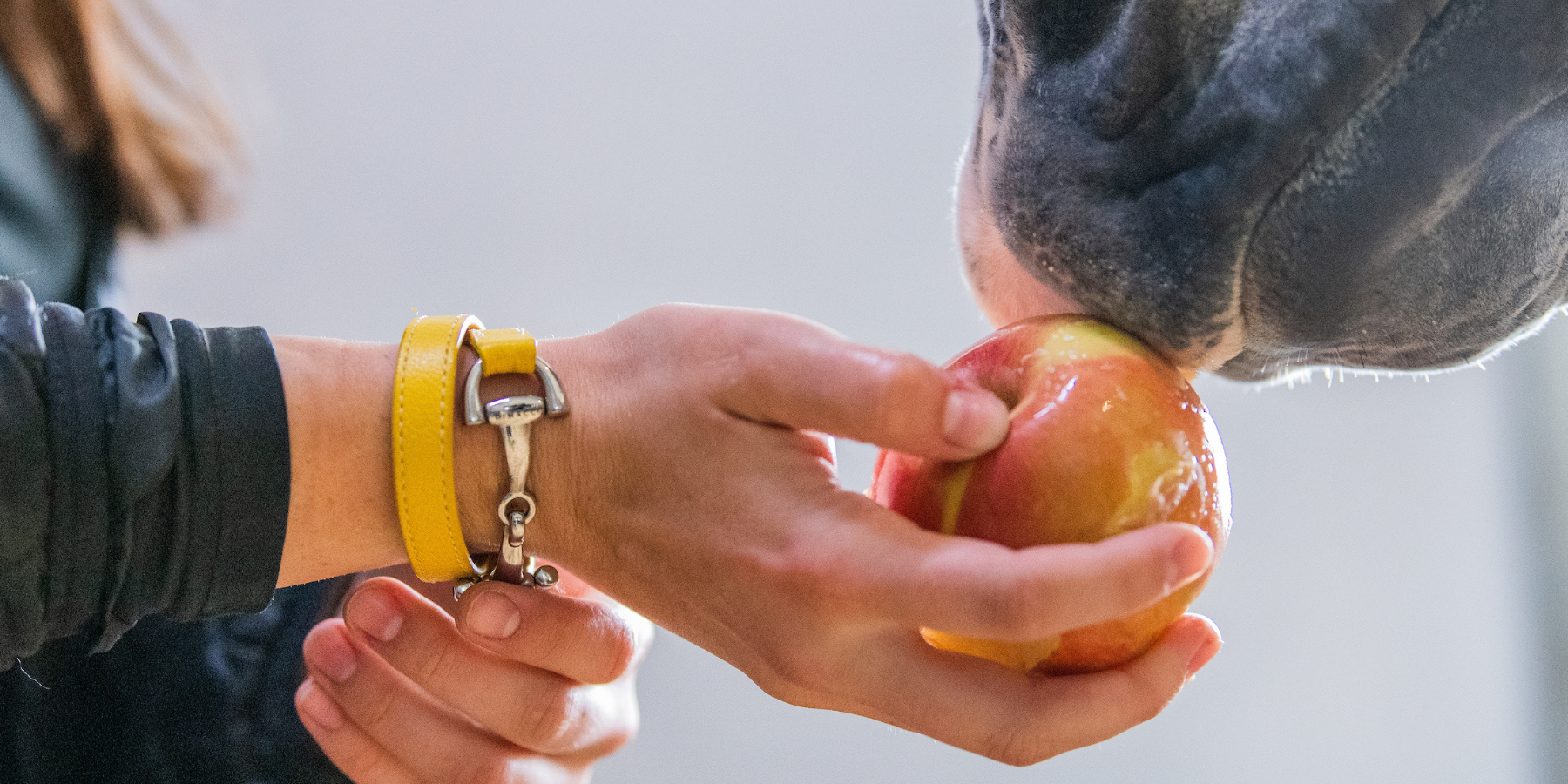 Horse with apple and woman wearing bit jewelry