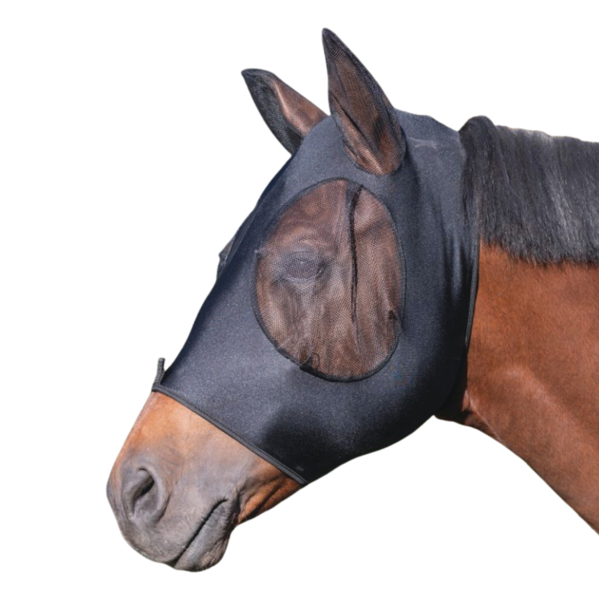  Horse Mesh Mask, Breathable Comfortable Elastic Horse Face  Cover for Horse for Eyes Protection S : Pet Supplies