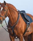 Horseware Micklem Breastplate w Standing Martingale in Brown