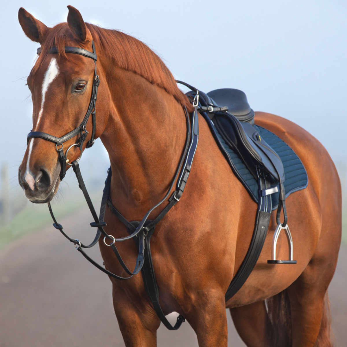 Horseware Micklem Breastplate w Standing Martingale in Black