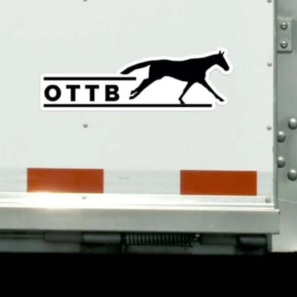 Dapplebay Bumper Sticker in OTTB 