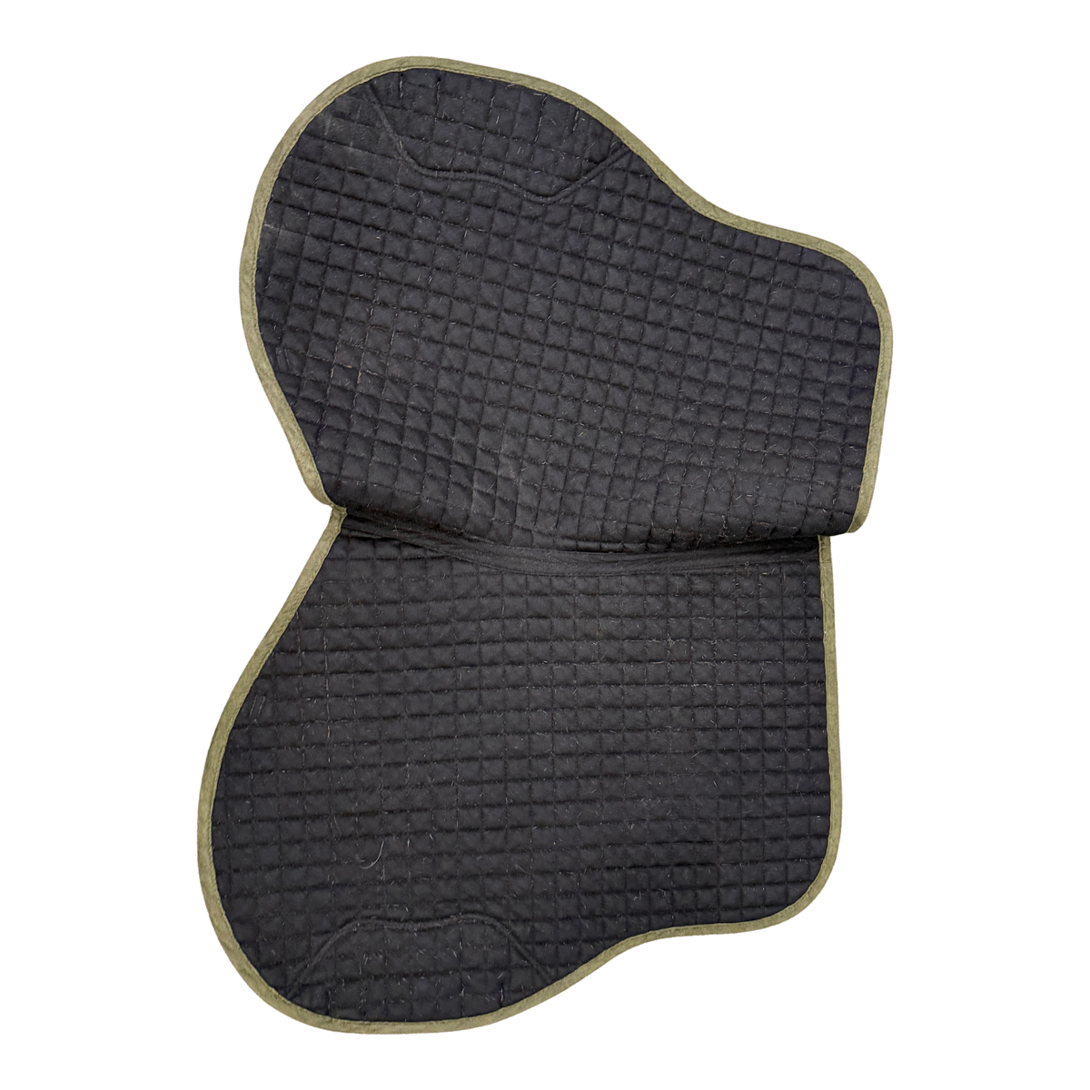 LeMieux Suede GP Pad in Alpine