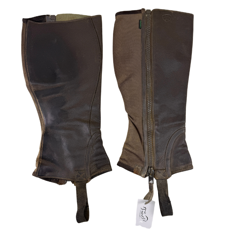 Ariat 'Breeze' Washable Half Chaps in Brown