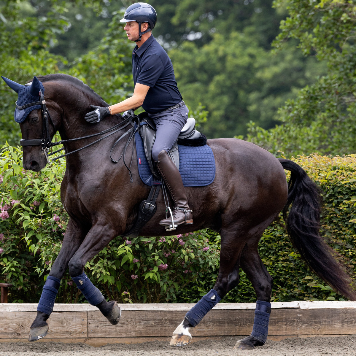 LeMieux Suede Dressage Pad in Navy