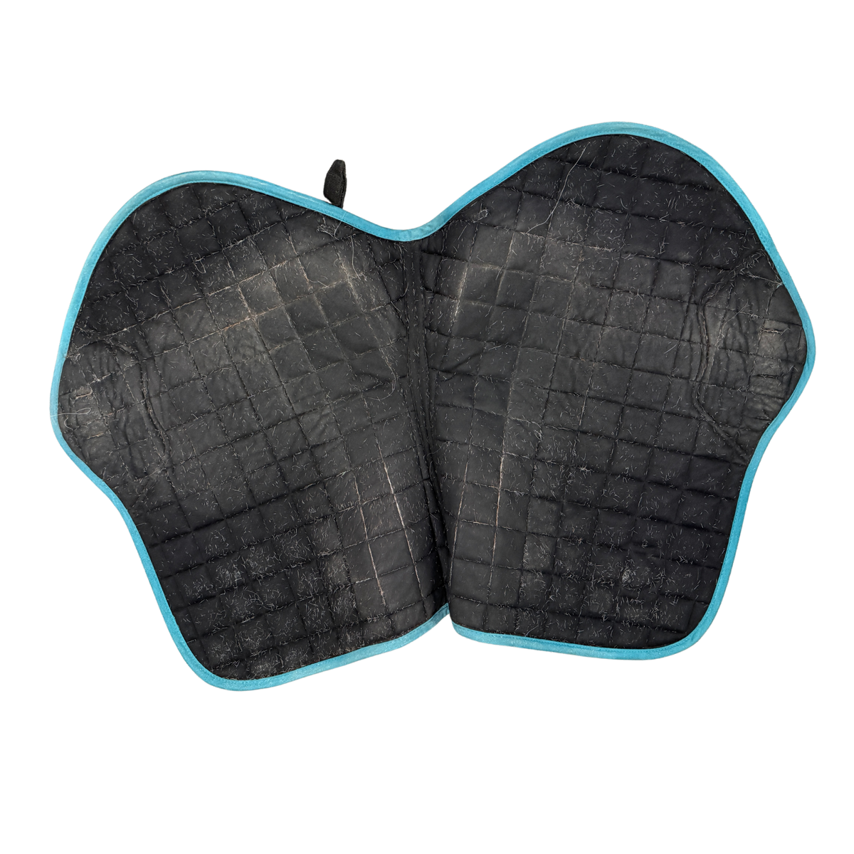 LeMieux 'Loire' Close Contact Pad in Peacock