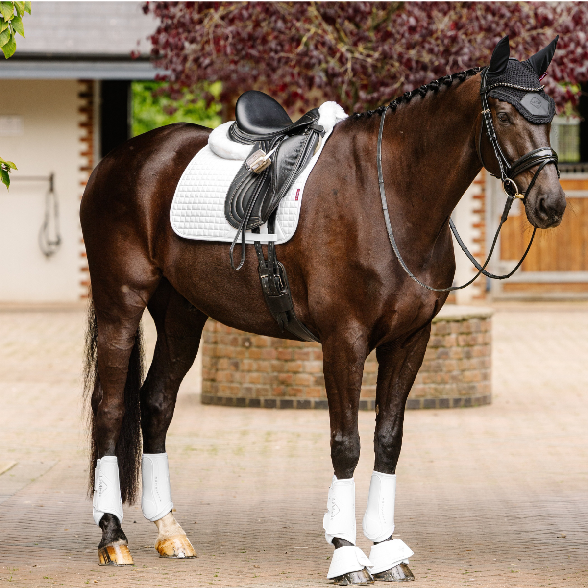 LeMieux Suede Dressage Pad in White