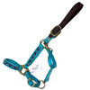 Perri's Nylon Ribbon Breakaway Halter in Aqua/Owls