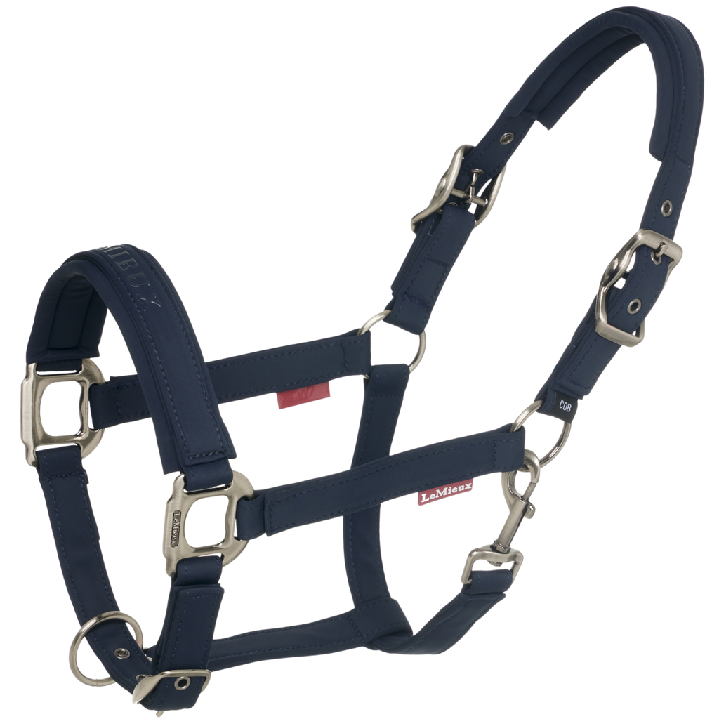 LeMieux 'Essence' Headcollar in Navy