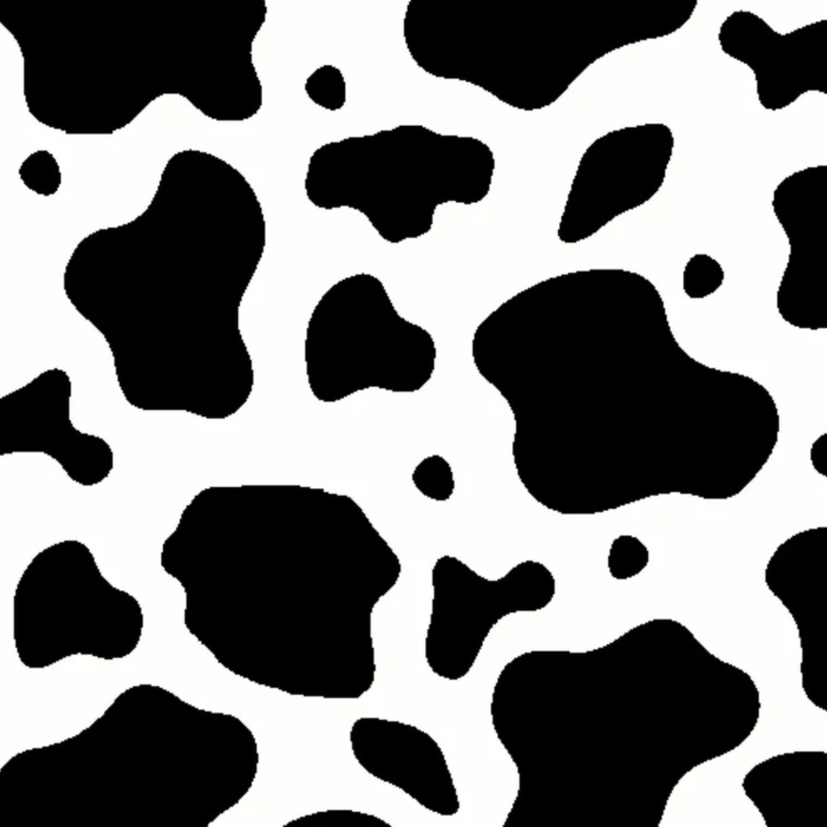 Essex Classics Talent Yarn Long Sleeve Show Shirt in White/Cow Print - Women's Medium