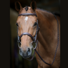 Jump'In WEEK Hunter Bridle in Brown - Full