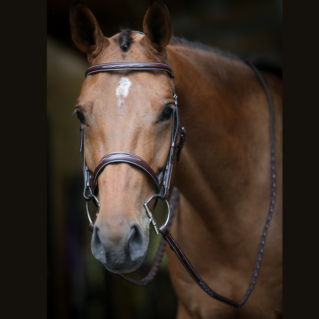 Jump'In WEEK Hunter Bridle in Brown - Full
