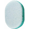 Sponge w/ Scrubber in Blue