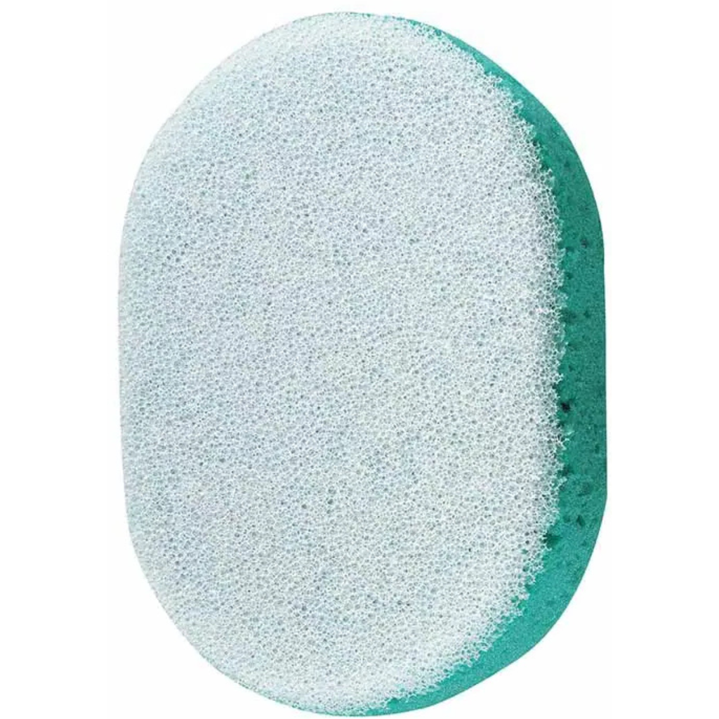 Sponge w/ Scrubber in Blue