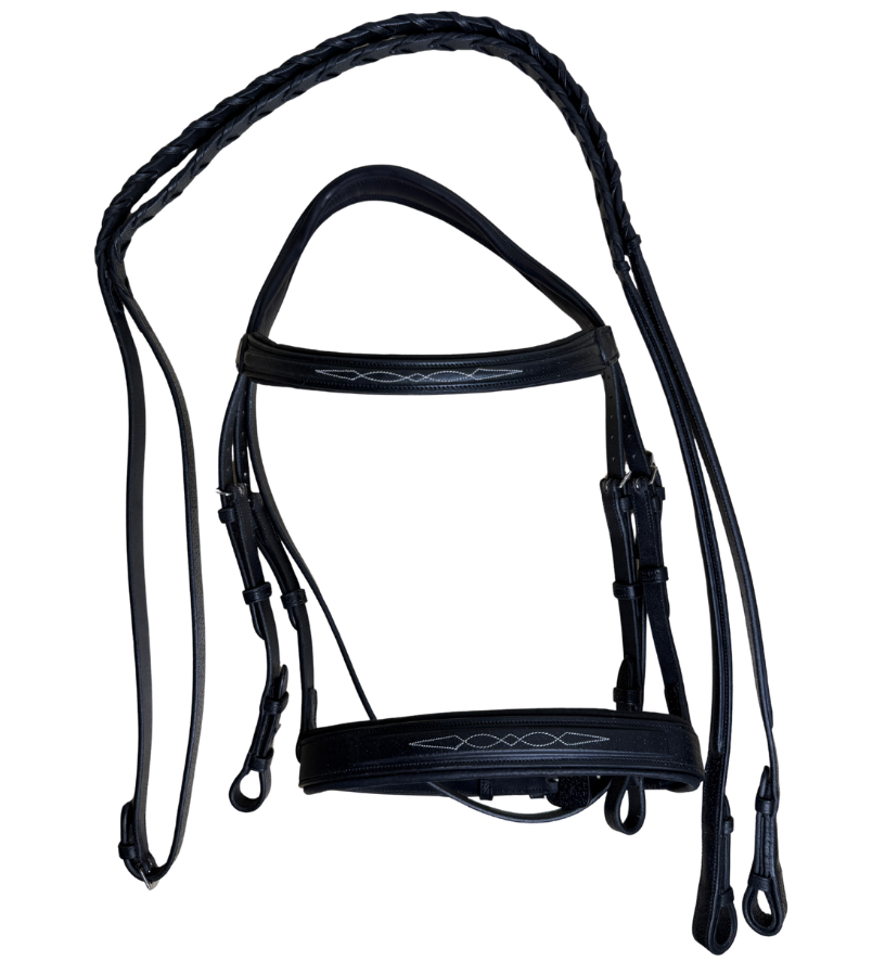 Butet 'Premium Hunter Noseband' Bridle in Black