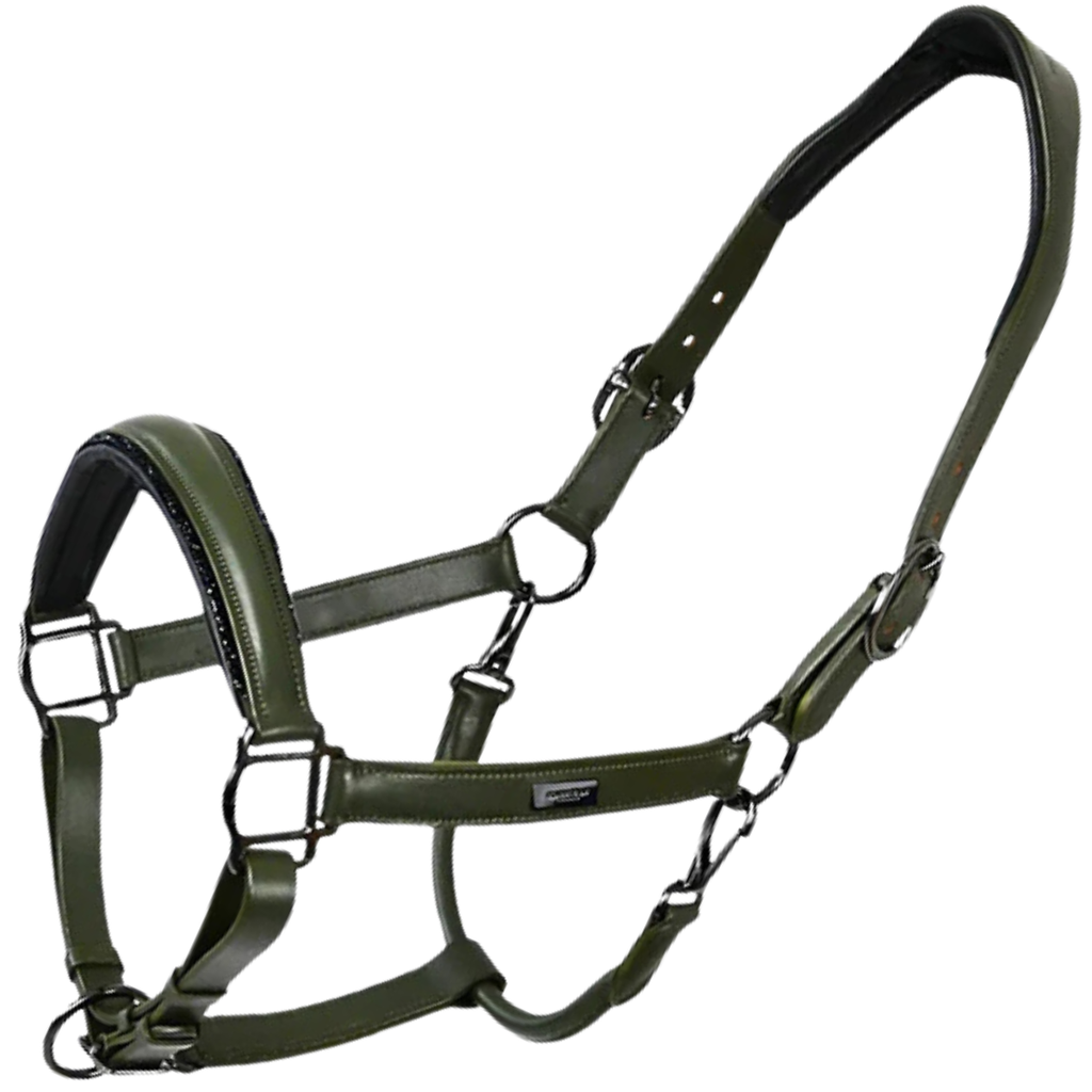 Equestrian Stockholm Glimmer Anatomic Leather Halter in Striking Valley 