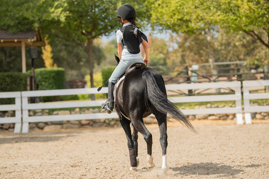 About The Tried Equestrian | Online Horse Riding Consignment