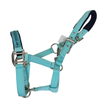 Schockemohle 'Memphis' Halter in Turquoise