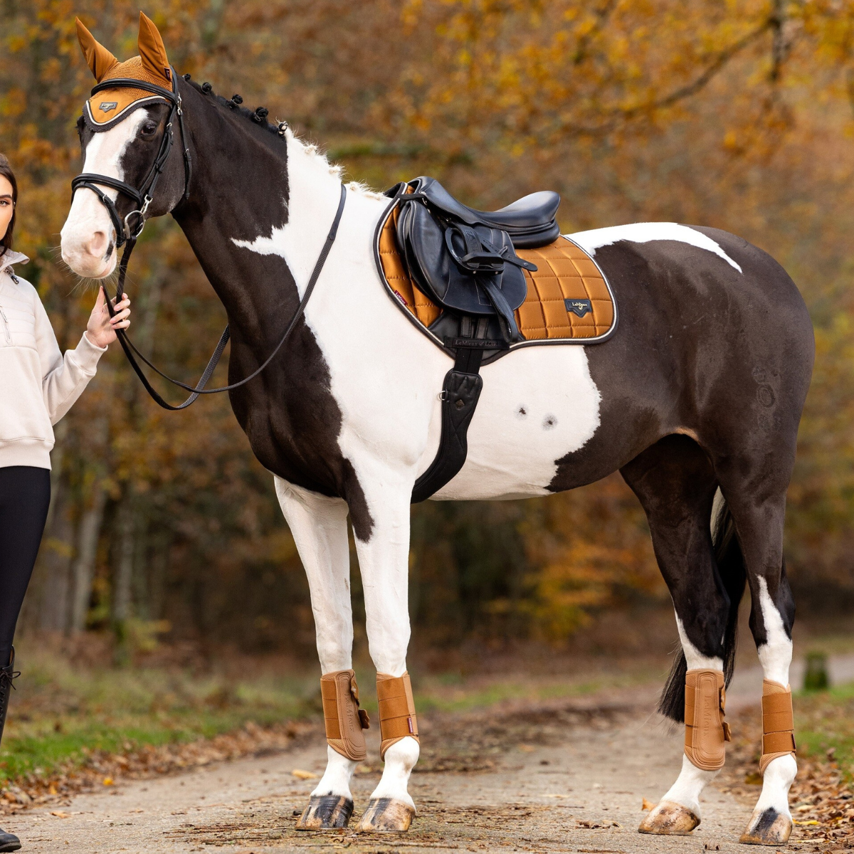 LeMieux &#39;Loire&#39; Close Contact Pad in Ginger 