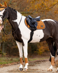 LeMieux 'Loire' Close Contact Pad in Ginger 