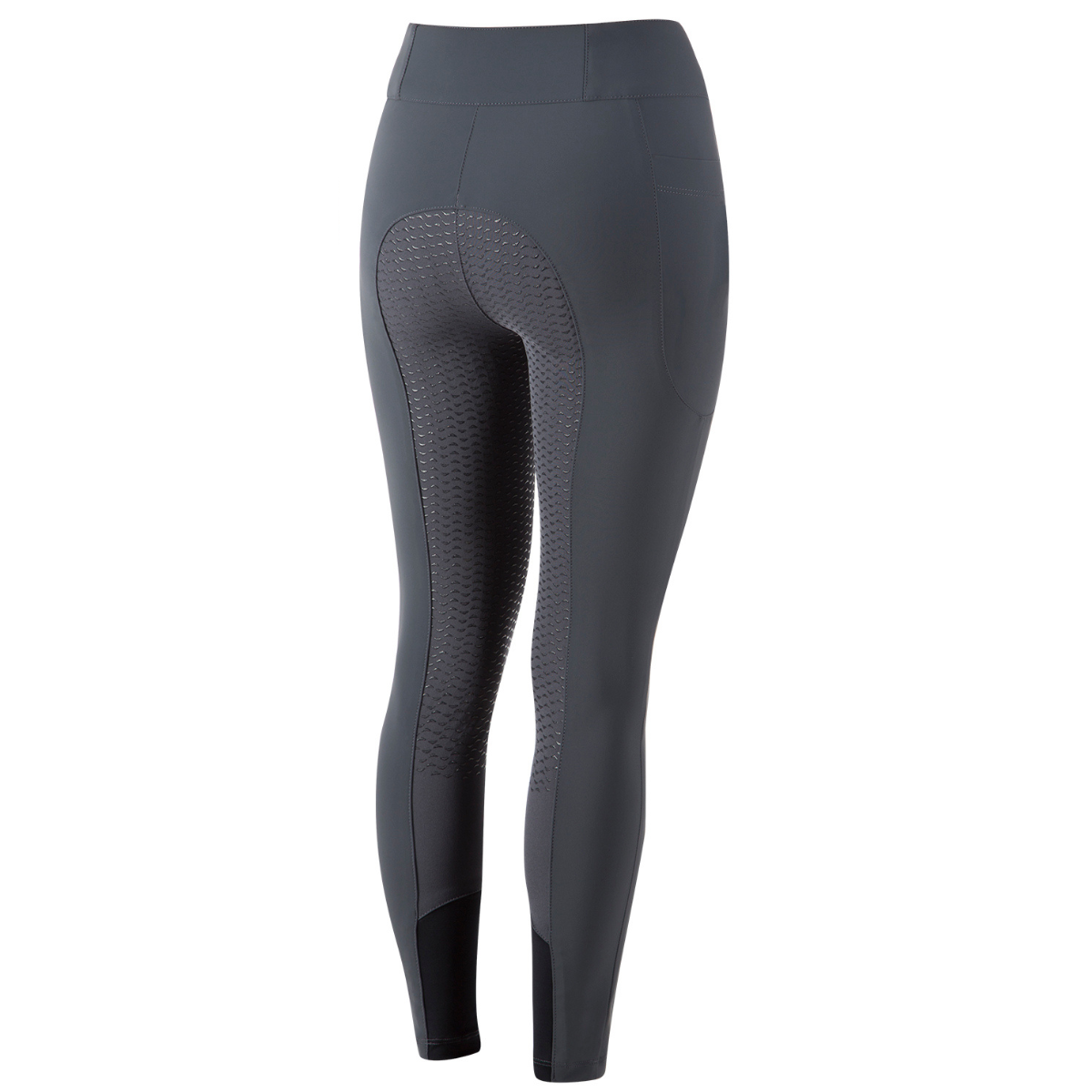 Animo 'Nuvelin' High Rise Breeches in Dolphin