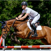 LeMieux 'Cotton Close Contact' Saddle Pad in White