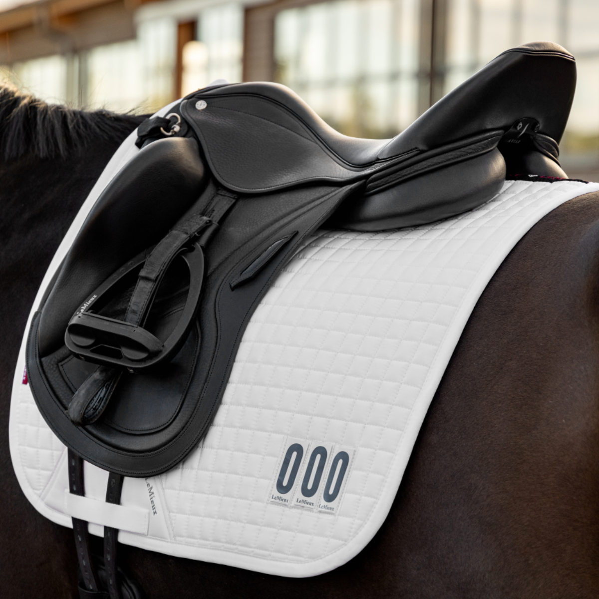 LeMieux 'Cotton Dressage' Competition Pad in White 