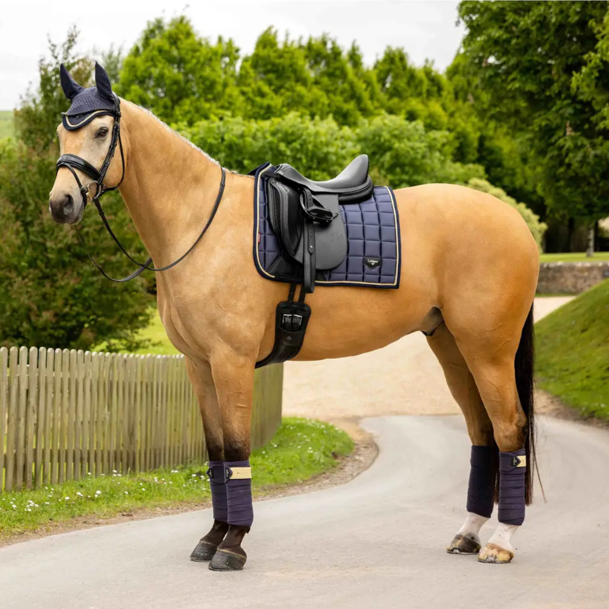 LeMieux Loire Classic Dressage Pad in Dusk Blue