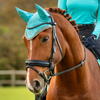 LeMieux Classic Fly Hood in Azure