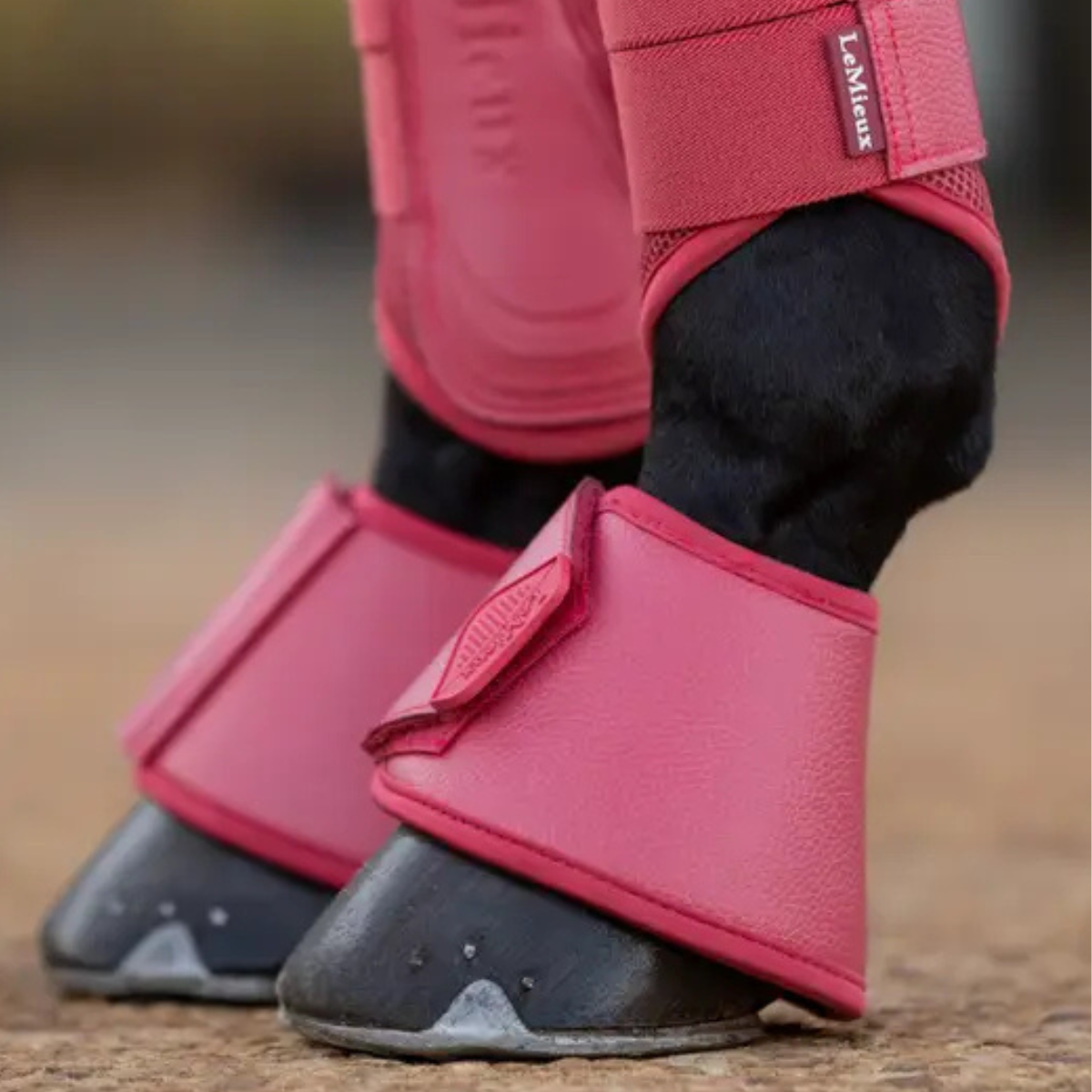 LeMieux Arika Over Reach Boots in Cranberry