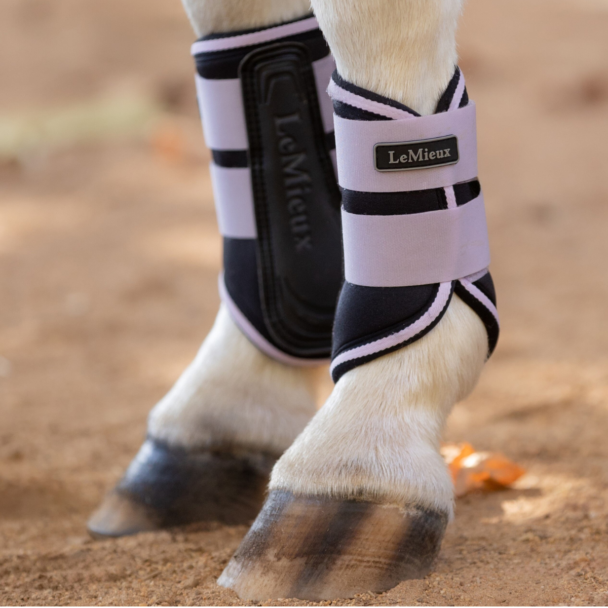 LeMieux Mini Grafter Boots in Lilac